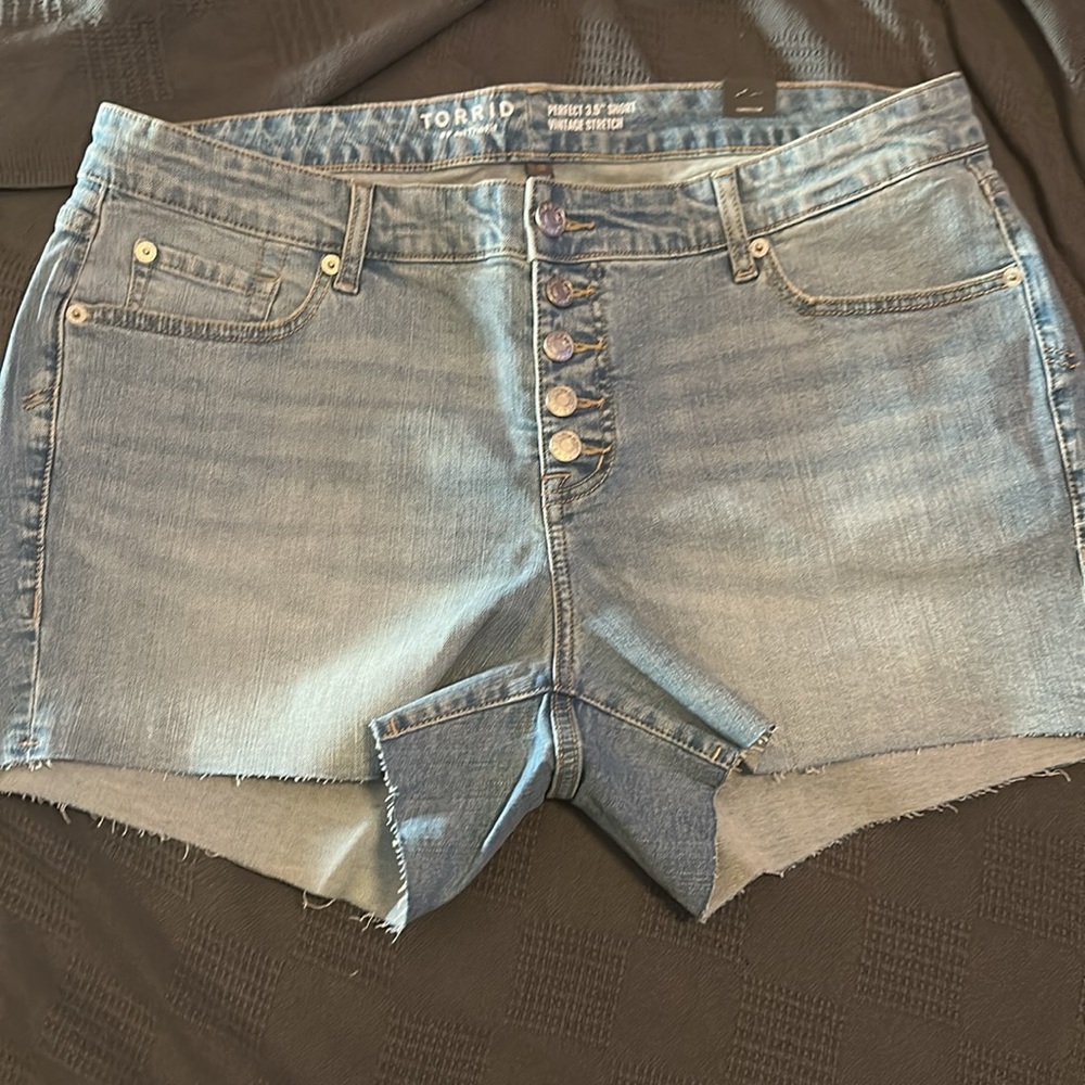 Torrid - Picture 2 of 4